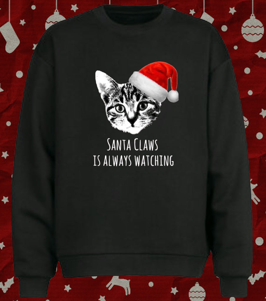 Funny Cheeky Tabby Cat Santa Claws Christmas Jumper Holiday Sweater for Cat Lovers