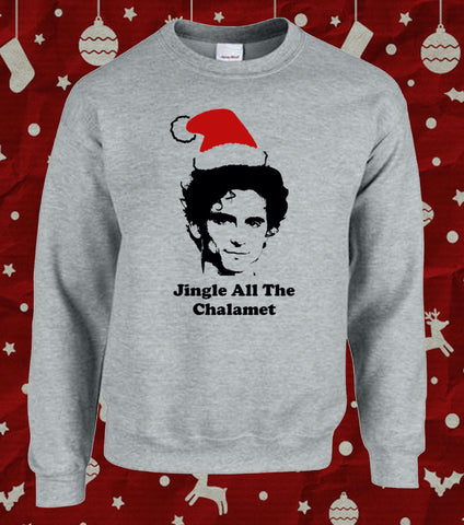 Jingle all the Timothee Chalamet Xmas Christmas Jumper Sweater in Grey New